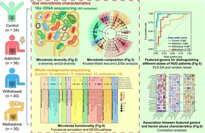 Methadone maintenance treatment is more effective than compulsory detoxification in addressing gut microbiota dysbiosis caused by heroin abuse